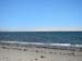 Pisco-Paracas-12